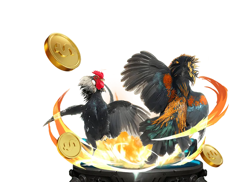 Sòng bạc trực tiếp f169 Bet